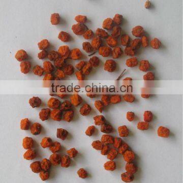 China wild dried mountain ash (Sorbus pohuashanensis)