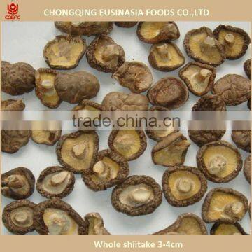 dried shiitake mushroom