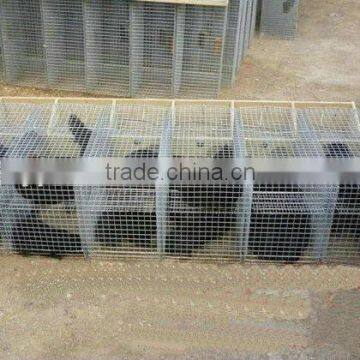 Stainless Steel Mink Cages /Fox Cage &Galvanized Mink Cage