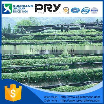 xunqiang Manufacturer 100% virgin HDPE agricultural green sun shade net