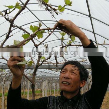 plastic film greenhouse HIGH QUANLITY PE weaving fabric GREENHOUSE FILM