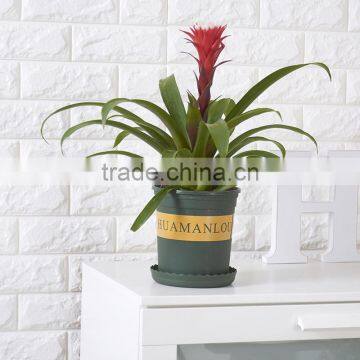 NEW Plastic Nursery 1 Gallon Trade POT