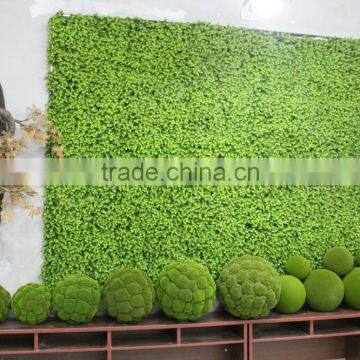 Highly Decorative Green Wall Module Durable Vertical Garden Green Wall photo-3