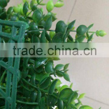 Artificial Boxwood Carpet Artificial Grass Carpet for Balcony photo-5