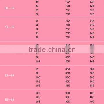 2016 Shuoyang Factory Direct Pregnant Womenunderwear Sexy Bra and Panty photo-5