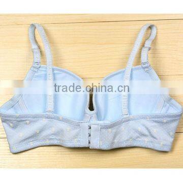 Body Good Quality Sexy Penty & Sweet Girl Lace Bra Photos photo-3