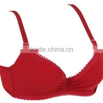 HSZ-58002 Wholesale Ladies Underwear Sexy Big Size Bra For Girls Custom Made Bras photo-2