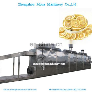 Banana Drying Equipment/Apple Dryer Grape Dryer Machine/Chili mesh belt Dryer