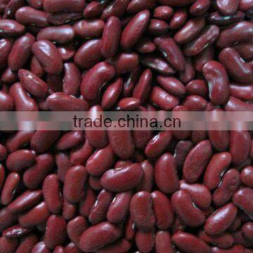 Quality Kidney Beans,Red and Black Kidney Beans,white Kidney Beans photo-2