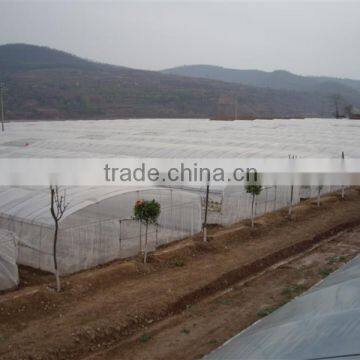 200mic 200 micron uv resistant plastic film greenhouse for wholesales