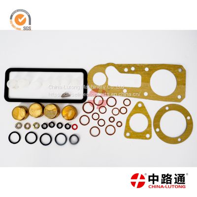 kubota injector pump rebuild kit-lucas cav pump seal kit