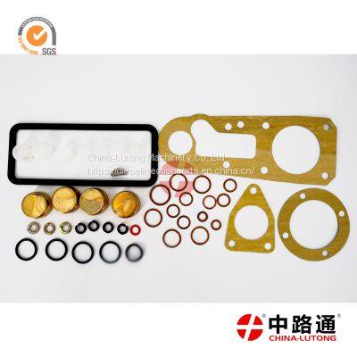 Kubota Injector Pump Rebuild Kit-lucas Cav Pump Seal Kit