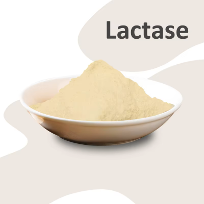 High Quality Lactase Beta-Galactosidase Food Grade Enzyme Activity 160,000 ALU/g CAS 9031-11-2 Acid Lactase