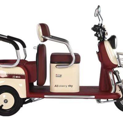 Latest 500W Steel Frame Double Row Passenger and Cargo Dual Use Electric Leisure Tricycle