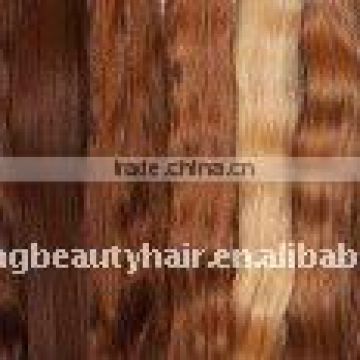 European human virgin remy hair bulk