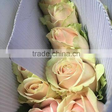 New Pink Avalache flower pink/red artificial roses