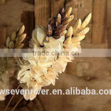 Didn't Have Chicken Bell Decorative Flower Simulation Artificial Flowers Simulation Flowers Sitting Room Decorated the Ground dr photo-4