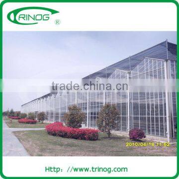 2013 hot sale Venlo Greenhouse for agriculture