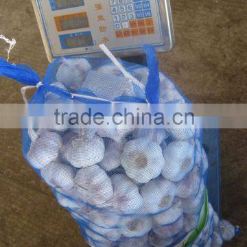 New Garlic Price Chinese Fresh Garlic Supplier