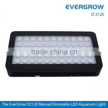 Best Sale Color 120w Led Coral Reef Light, Dimmable 120w Led Aquarium Lights for Saltwater Reef Tank photo-6