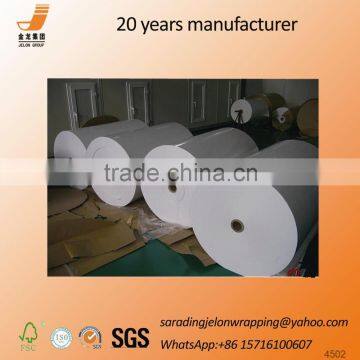 bio-based disposable food plate,paper plate raw material