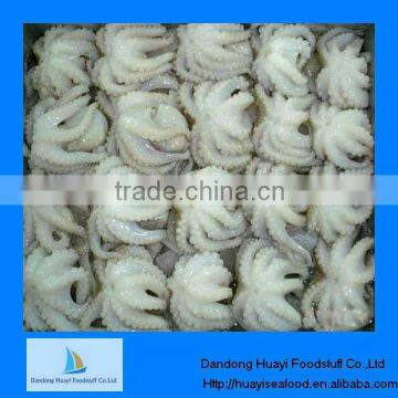 Supply frozen octopus best cleaned baby octopus