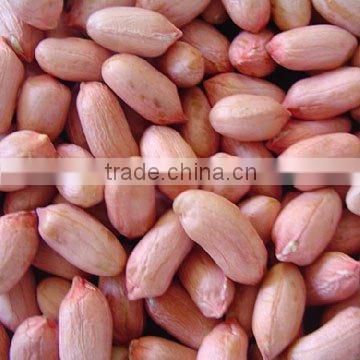 38/42 Peanut kernels(long type)