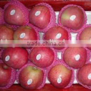 2015 new crop fresh Qin guan apple with good quality for sale