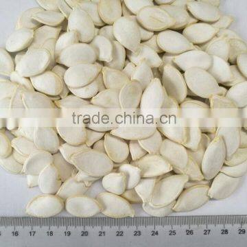 Fresh Best Cheaper Snow White Pumpkin Seed Suppliers photo-4
