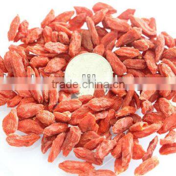 High Quality Dried Raw Goji Berries photo-3