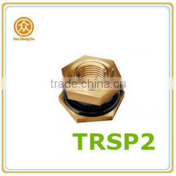 TRSP2 Brass Truck Tire Valve