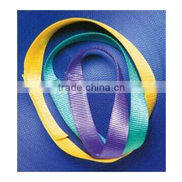 Endless polyester webbing sling;flat polyester slings;polyester flat woven webbing sling