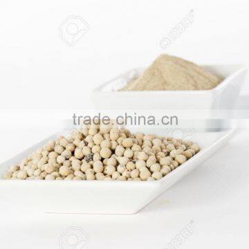 Vietnam White Pepper 630G/L HIGH QUALITY Poivre Blanc- Emma@hanfimex.com