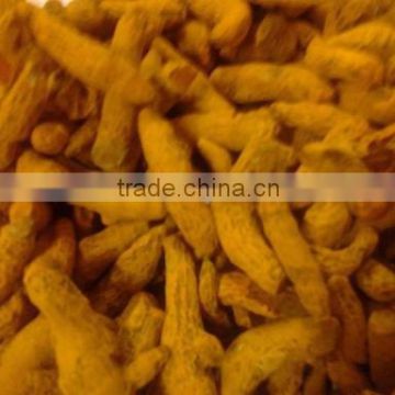 Indian Raw Dried Turmeric Finger Available