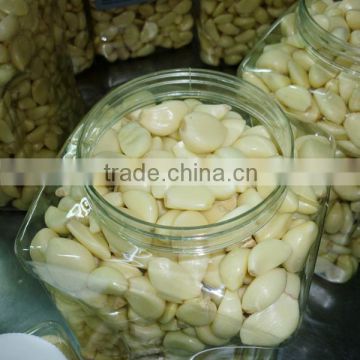 High quality of China peeled garlic garlic cloves for sale