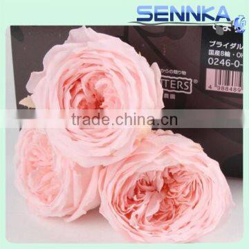 Hot sale real touch austin roses fresh preserved austin roses for wedding decorations