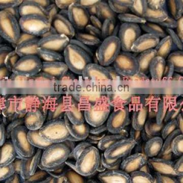 new crop Black Watermelon Seeds