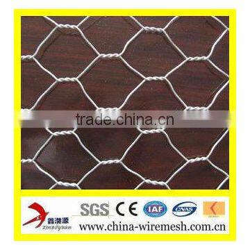 PVC Coated Galvanized Poultry Netting