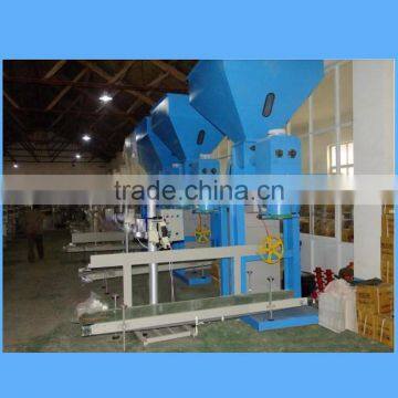 50kg Bags Cashew Nut Grain Packing Machine photo-4