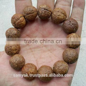Buddha Chitta 13 Beads Bodhi Seed Genuine Indonesian Phoenix Eye Mala Phrengba photo-4