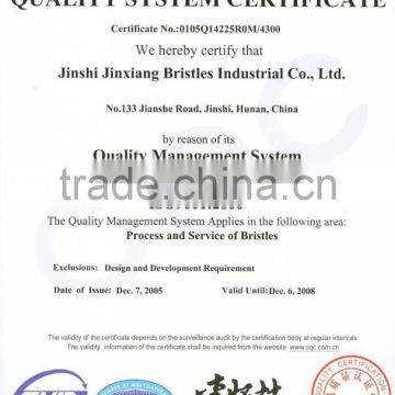 White Bristles Boiled photo-2