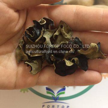 Factory Price Thin Dried White Back Black Wood Ear Fungus Mushroom Cubes (Dices) A Grade photo-2