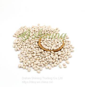 new crop white kidney beans Japanese type