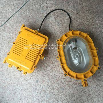 Explosion-proof floodlight BFC 8120 Eight thousand seven hundred and twenty Platform lighting fixtures