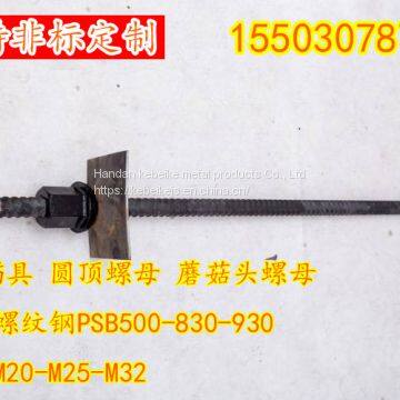 Galvanized Formwork Tie Rod With HDG Tie Nut photo-2