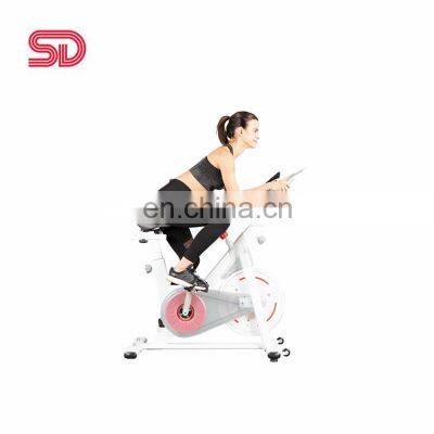 SDS-Y 2021 New Product Home Magnetic Exercise Bike for Sale photo-3