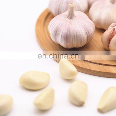 Low Price Fresh Garlic for Wholesale photo-3