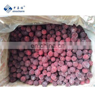 Tropical Fruit Yungmei Bayberry Frozen Waxberry