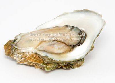 Oyster fresh Extract 5:1 TLC, Concha Ostreae Extract, Oyster shell Extract, Oyster meat Extract, Yongyuan Bio