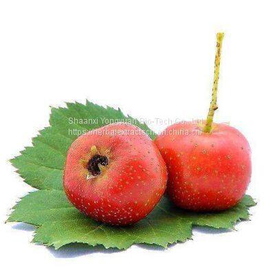 Hawthorn fruit Extract, Hawthorn leaf Extract, Hawthorn flavone 20%, Crataegus pinnatifida Extract powder, Yongyuan Bio